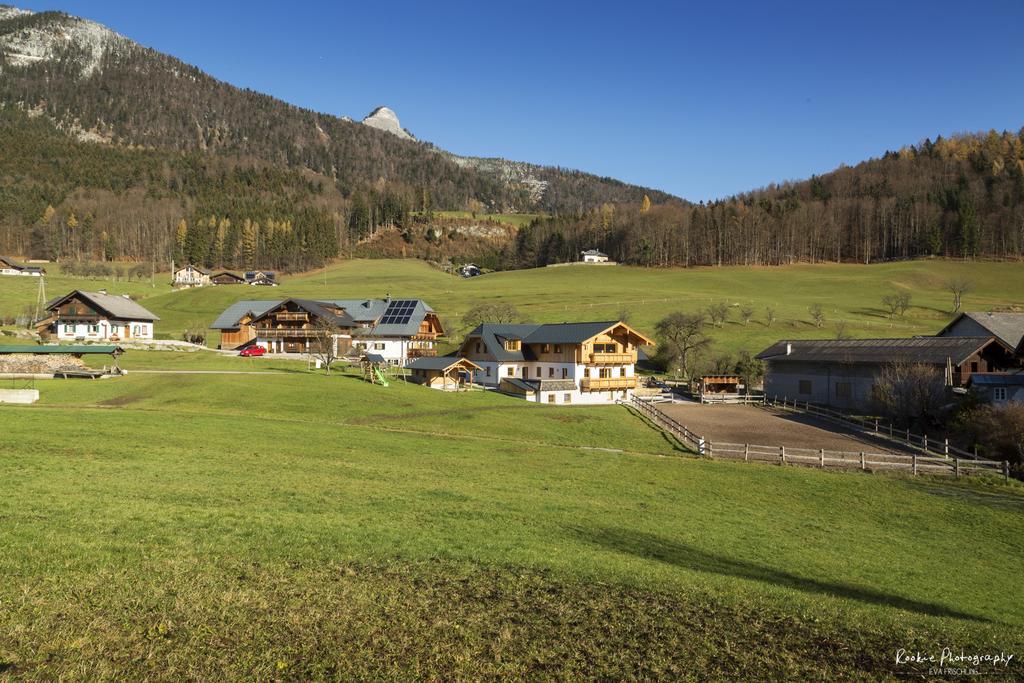 Reiter- Und Feriengut Suassbauer Lägenhet Saint Wolfgang Exteriör bild
