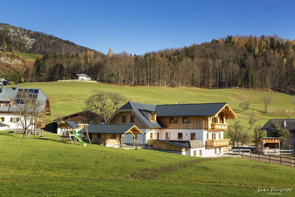 Reiter- Und Feriengut Suassbauer Lägenhet Saint Wolfgang Exteriör bild