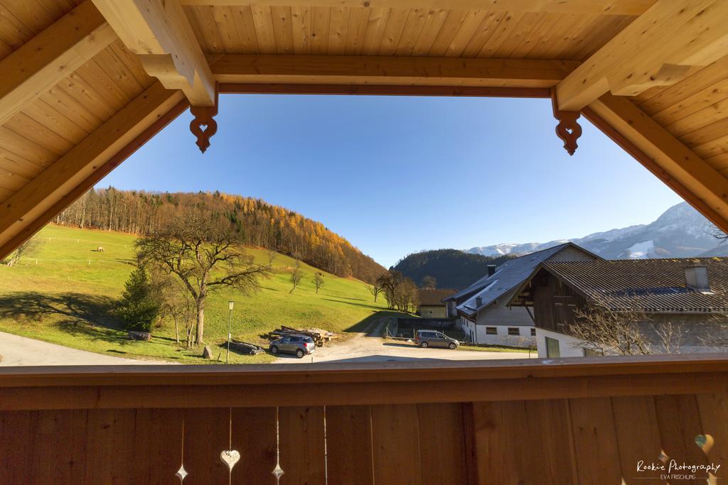 Reiter- Und Feriengut Suassbauer Lägenhet Saint Wolfgang Rum bild