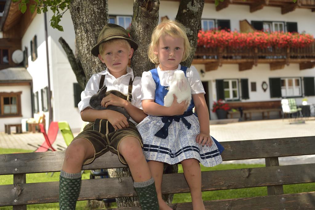 Reiter- Und Feriengut Suassbauer Lägenhet Saint Wolfgang Exteriör bild